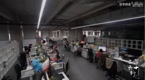 软件服务之外的人生 流水线、群演与客服中的情感温度